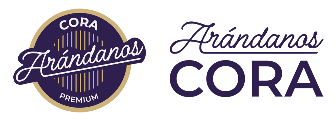 CORA Arándanos